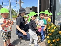 お水やり①