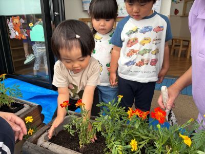 お花の苗植え① 
