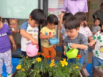 お花の苗植え② 