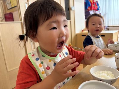 トマト試食 